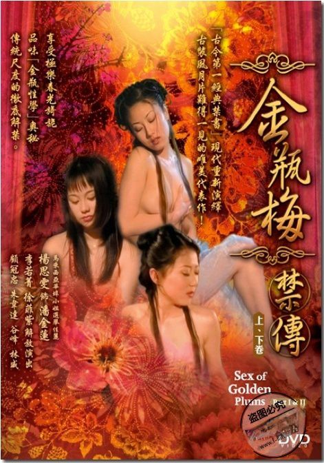 新金瓶梅2(全集)