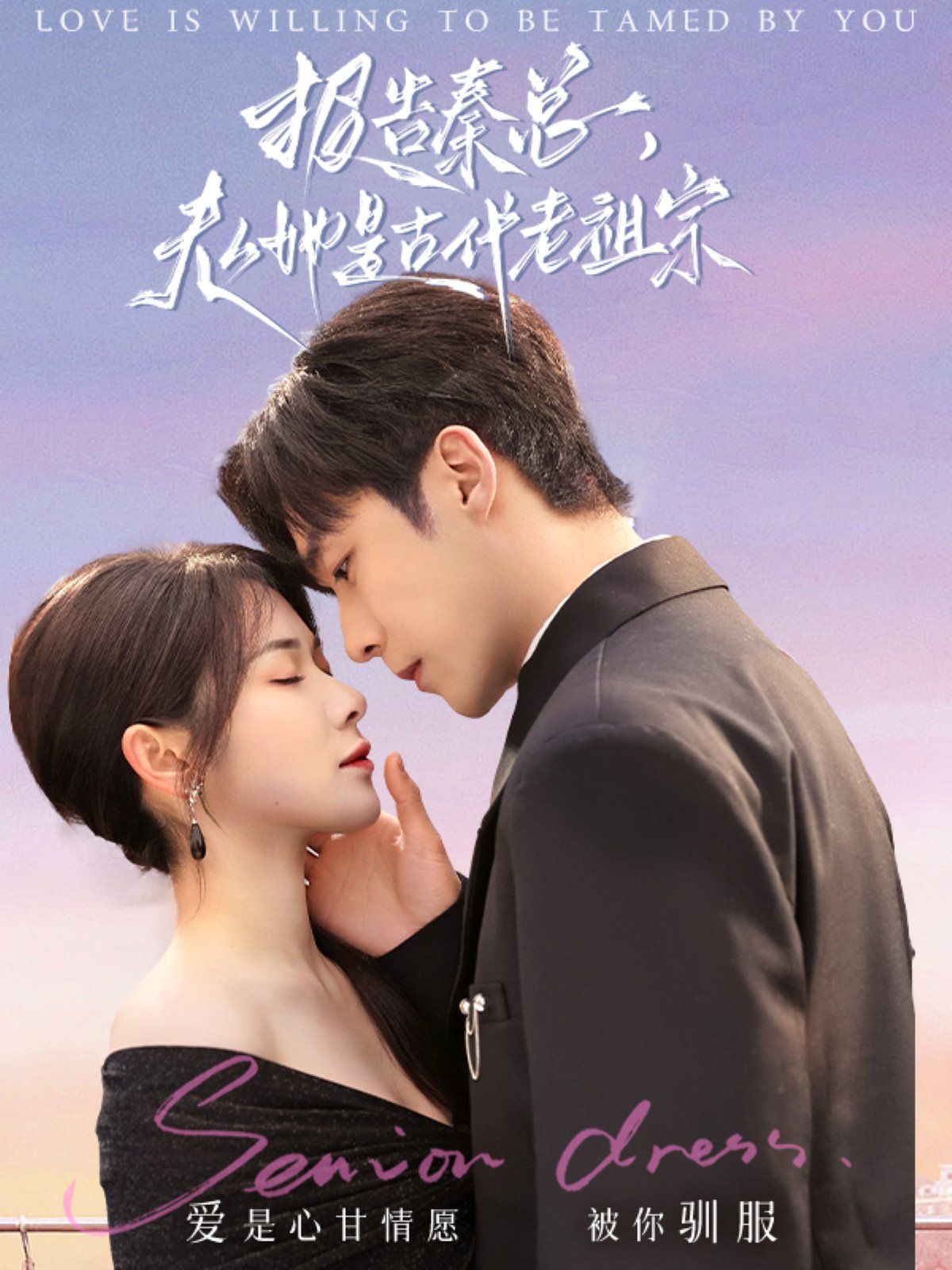 报告秦总，夫人她是古代老祖宗 第41-65集完结(大结局)