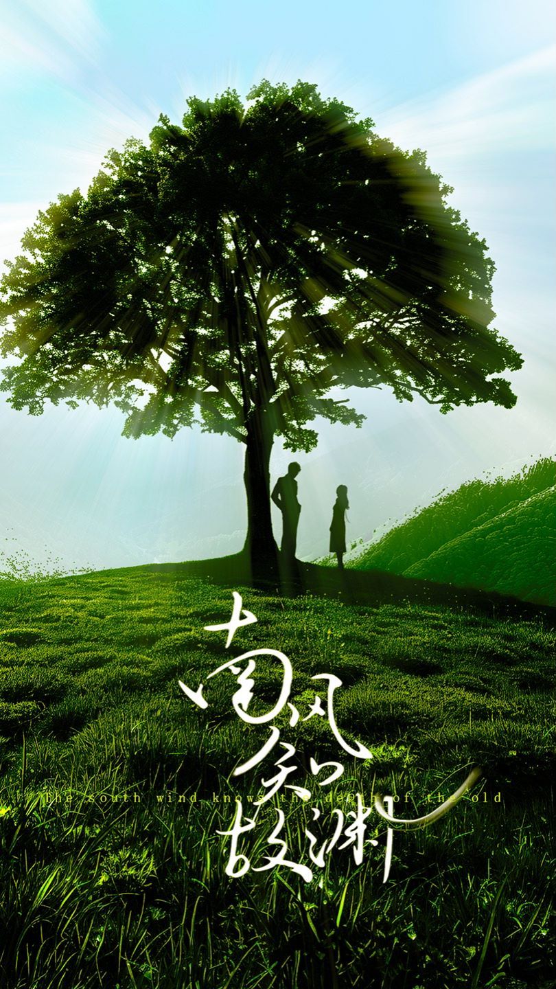 南风知故渊 第1-20集