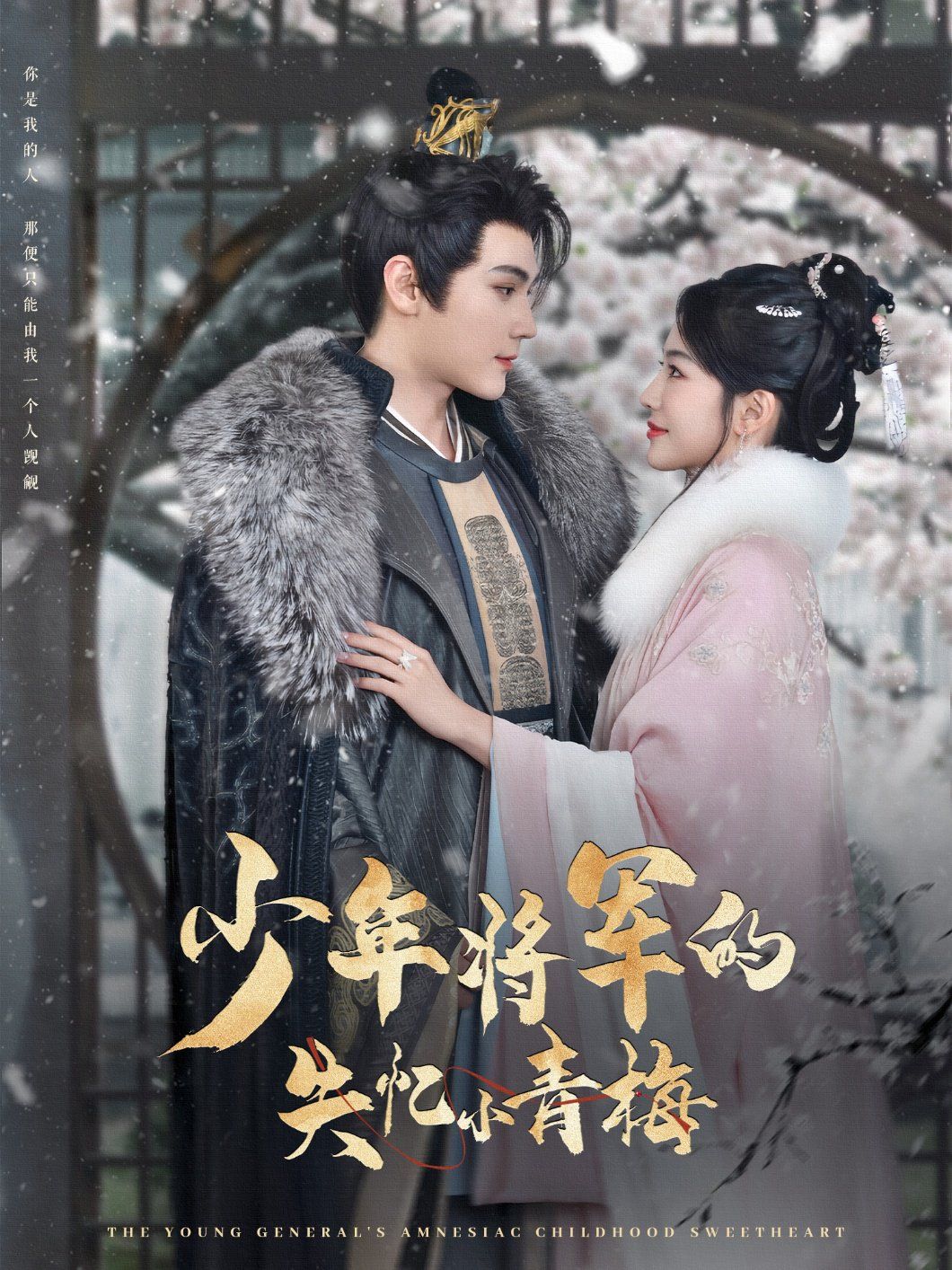 少年将军的失忆小青梅 第1-20集