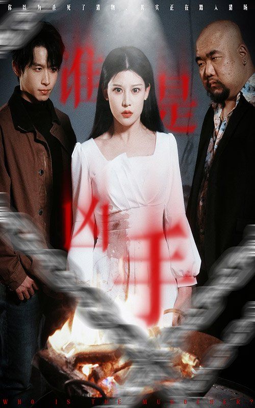谁是凶手 第1-20集