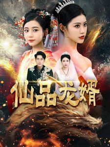 仙品龙婿 第61-80集