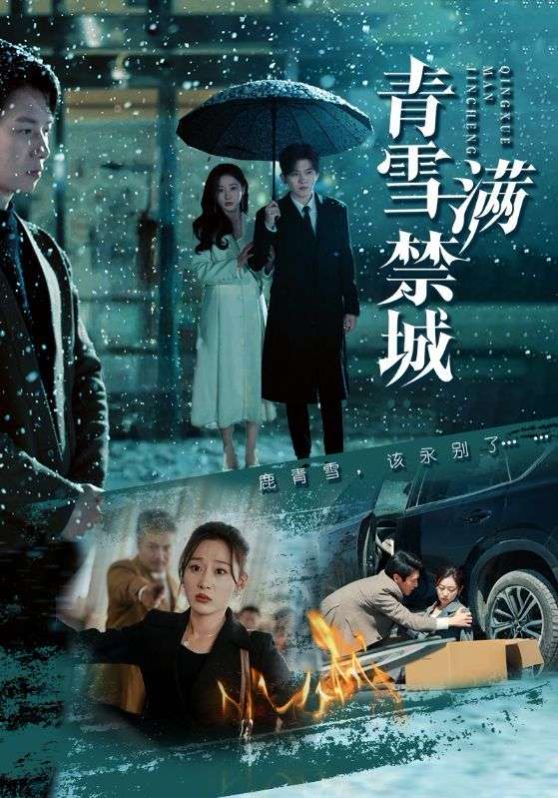 青雪满禁城 第1-20集