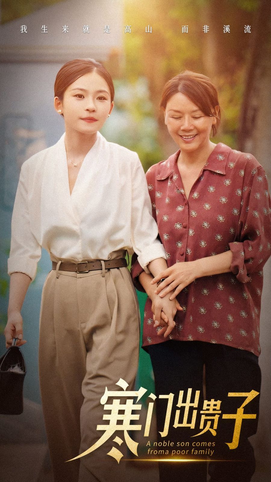 寒门出贵子 第1-20集