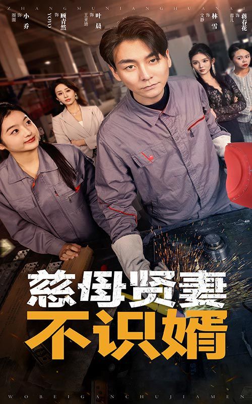 慈母贤妻不识婿 第21-45集完结(大结局)