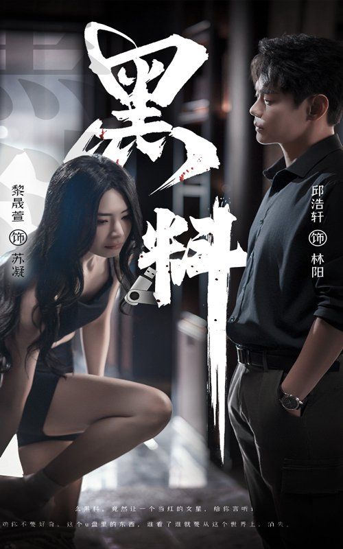 黑料（紫雾之下） 第21-40集